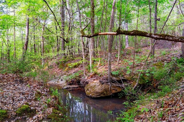 10381 Indian Mound Rd, Ware Shoals, SC 29692