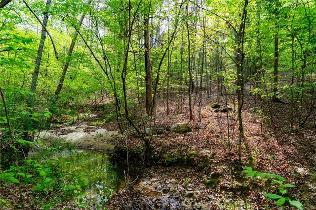 10381 Indian Mound Rd, Ware Shoals, SC 29692