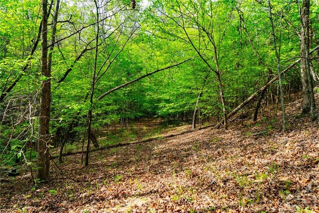 10381 Indian Mound Rd, Ware Shoals, SC 29692