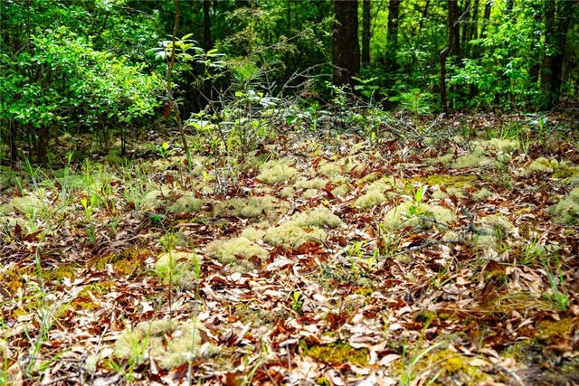 10381 Indian Mound Rd, Ware Shoals, SC 29692