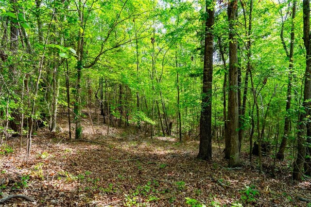 10381 Indian Mound Rd, Ware Shoals, SC 29692