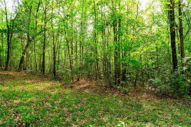 10381 Indian Mound Rd, Ware Shoals, SC 29692