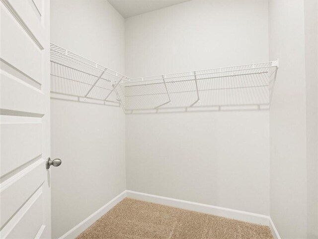 225 Maxwell Dr, Easley, SC 29642 - photo 17