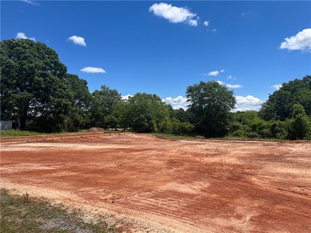 115 Riley St, Westminster, SC 29693 - view of local wilderness