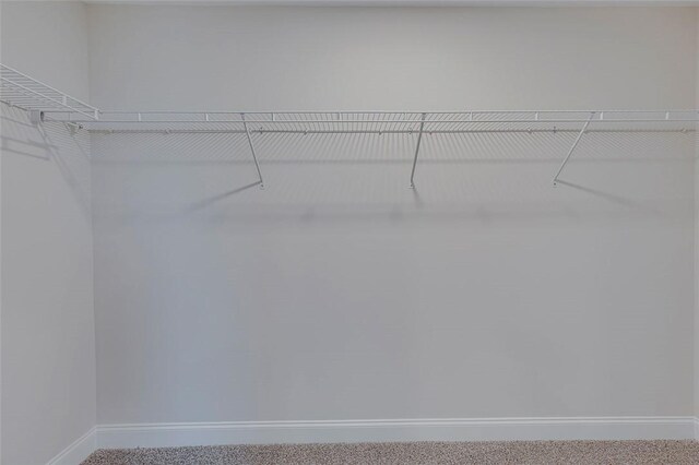 spacious closet with carpet flooring