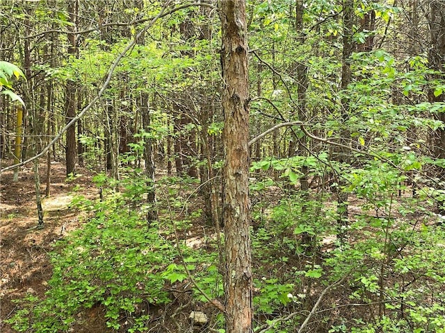 117 Pleasant Valley Dr, Anderson SC, 29621 land for sale