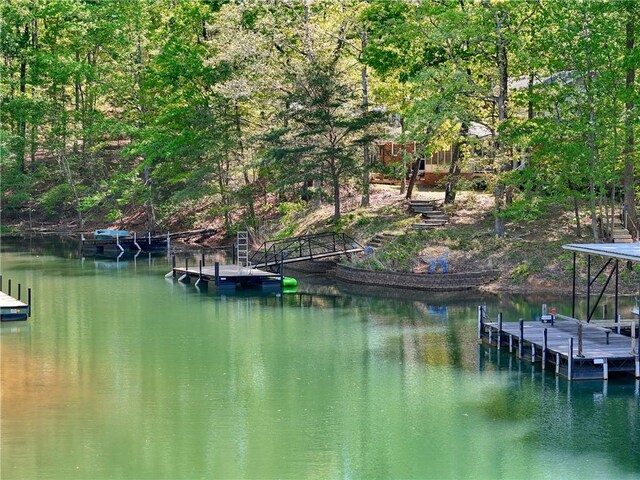 dock area with a water view