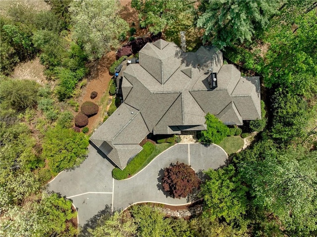 220 Long Cove Ct, Sunset, SC 29685 - drone / aerial view