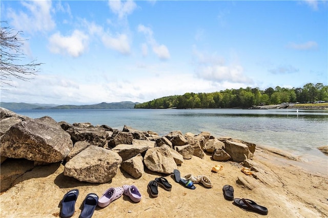 property view of water