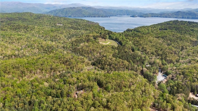 birds eye view of property with a water and mountain view and a forest view