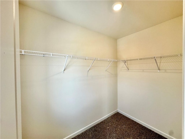spacious closet with dark colored carpet