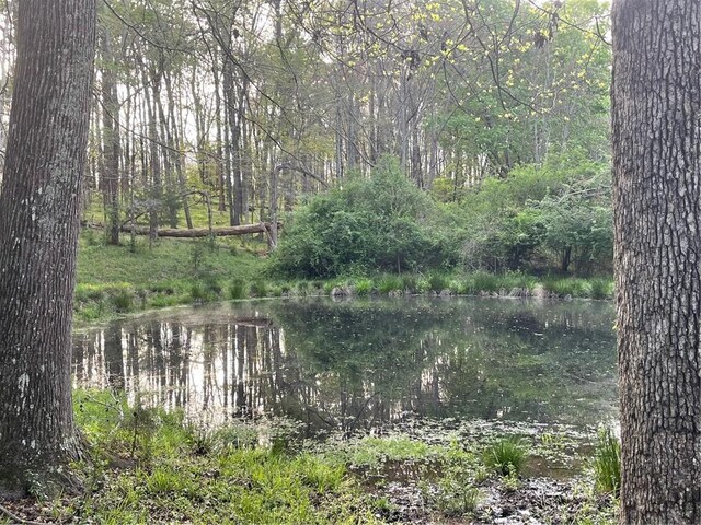 00 Elberton Rd, Tignall, GA 30668 - photo 14