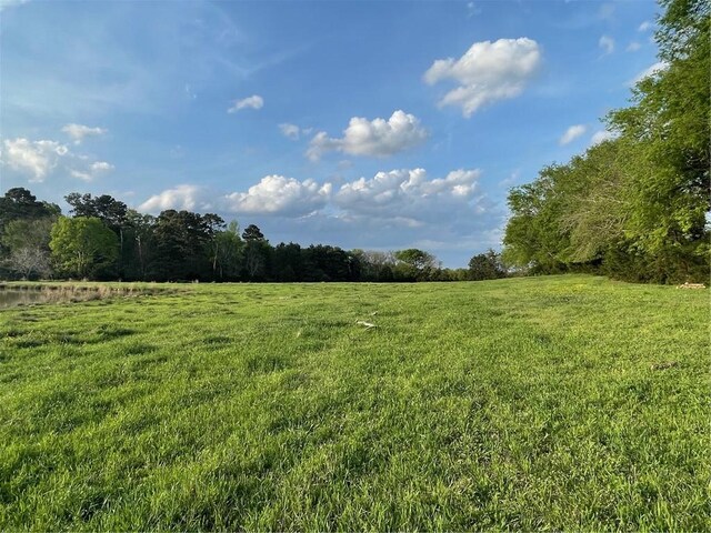 00 Elberton Rd, Tignall, GA 30668 - photo 6