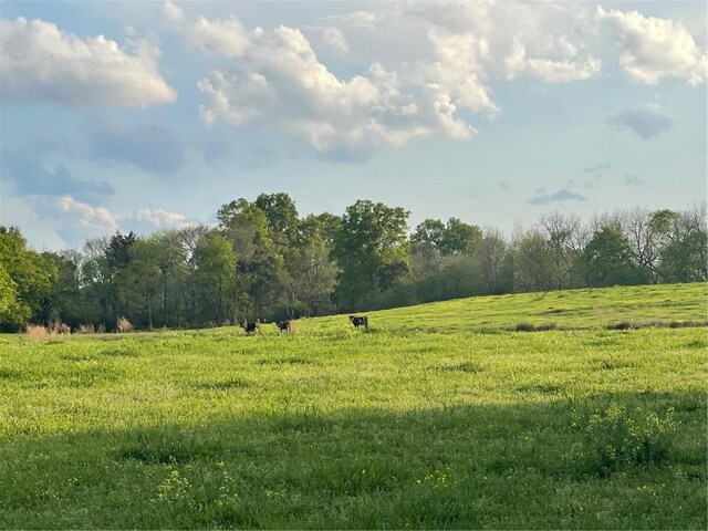 00 Elberton Rd, Tignall, GA 30668 - photo 7