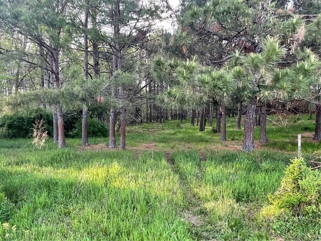 00 Elberton Rd, Tignall, GA 30668 - photo 8