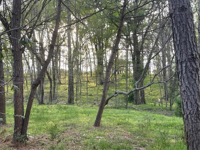 00 Elberton Rd, Tignall, GA 30668 - photo 9