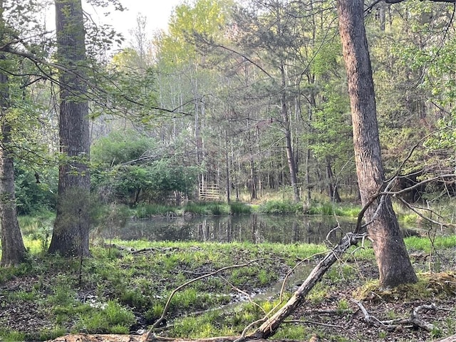 00 Elberton Rd, Tignall, GA 30668 - photo 10