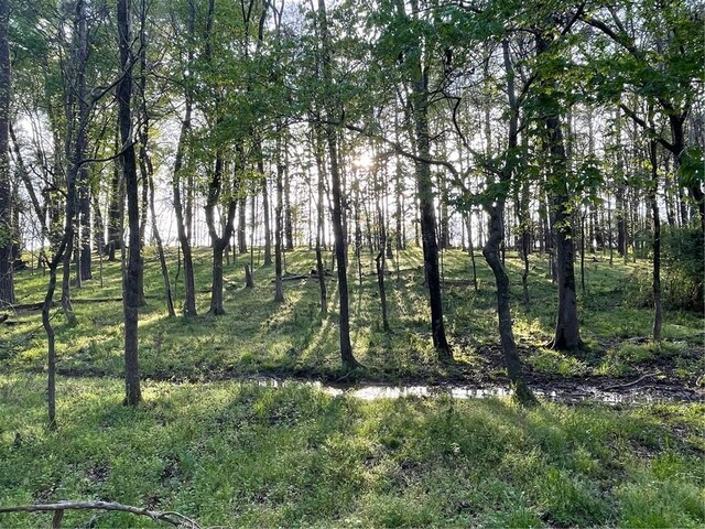 00 Elberton Rd, Tignall, GA 30668 - photo 11