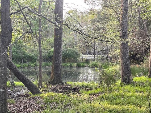 00 Elberton Rd, Tignall, GA 30668 - photo 12