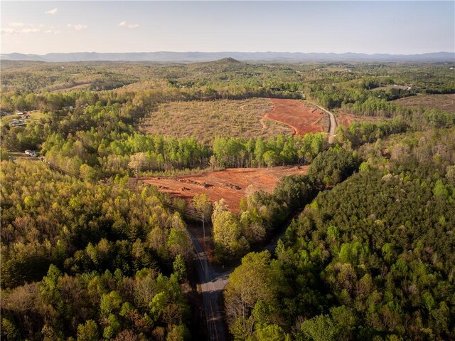 03 Hood Rd, Easley, SC 29640 - photo 7