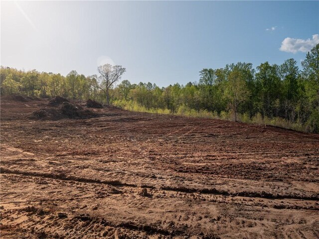 03 Hood Rd, Easley, SC 29640 - photo 14