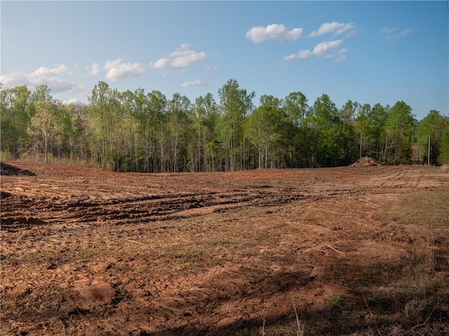 03 Hood Rd, Easley, SC 29640 - photo 15