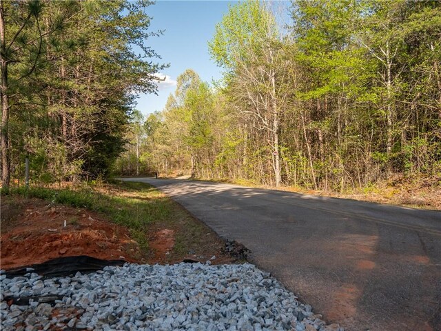 03 Hood Rd, Easley, SC 29640 - photo 17