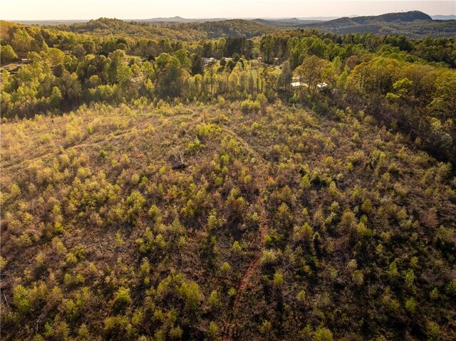 03 Hood Rd, Easley, SC 29640 - photo 27
