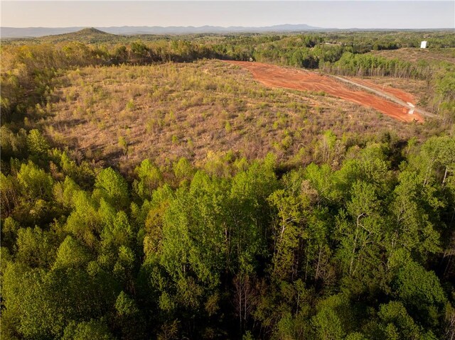03 Hood Rd, Easley, SC 29640 - photo 28