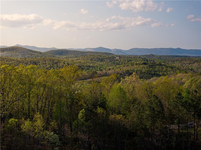 03 Hood Rd, Easley, SC 29640 - photo 34