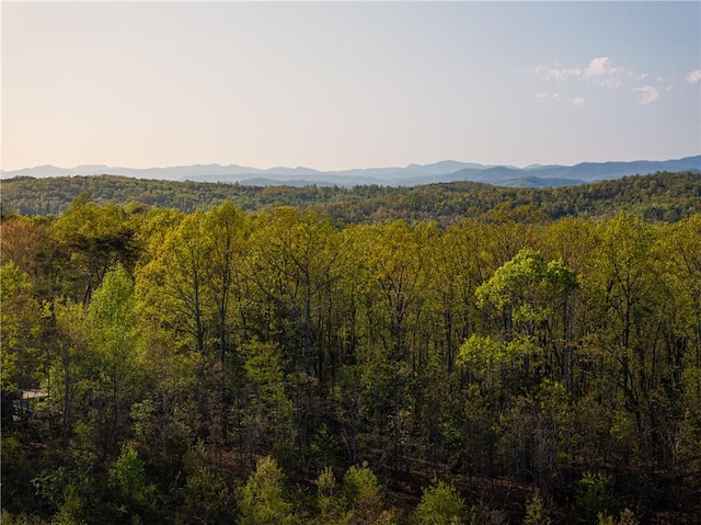 03 Hood Rd, Easley, SC 29640 - photo 35