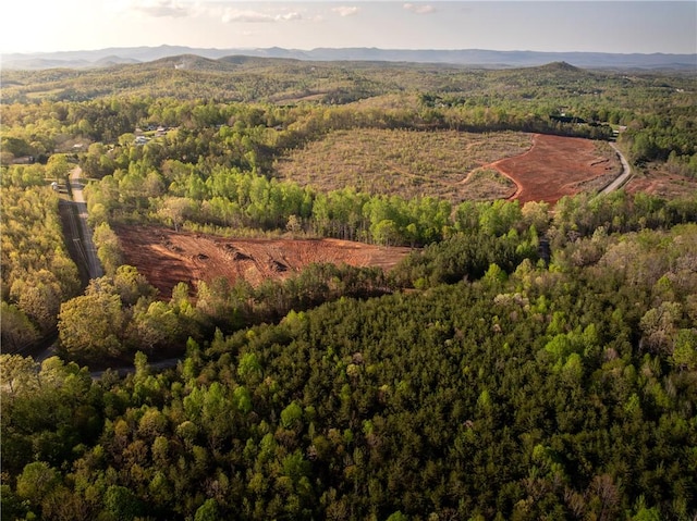03 Hood Rd, Easley, SC 29640 - photo 6