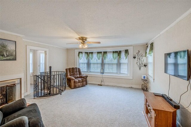 10676 Augusta Rd, Belton, SC 29627 - photo 20
