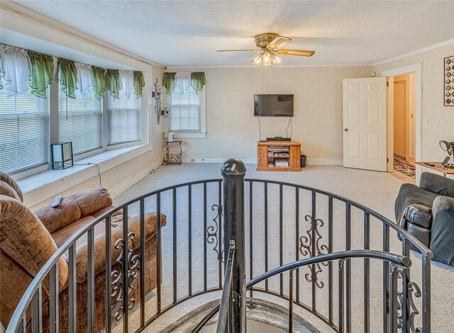 10676 Augusta Rd, Belton, SC 29627 - photo 21