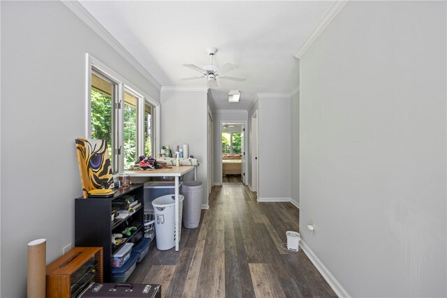 corridor with crown molding, baseboards, and dark wood-style flooring