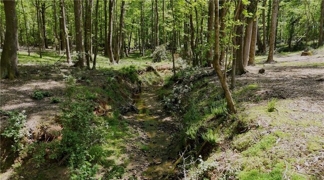 view of nature with a wooded view