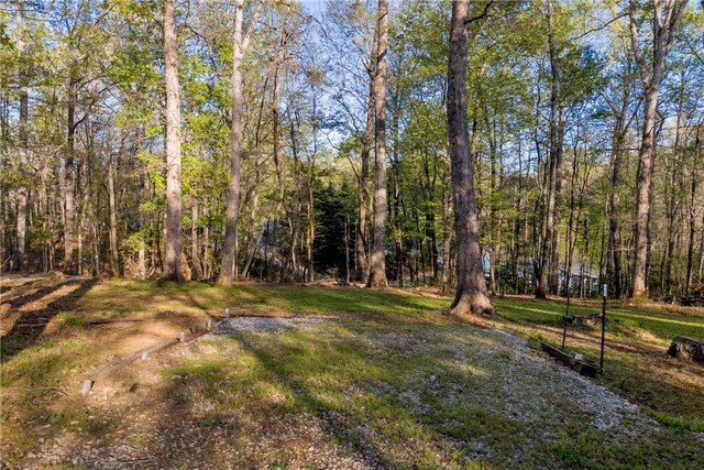 105 Bonner Rd, Mountain Rest, SC 29664 - view of yard featuring a view of trees