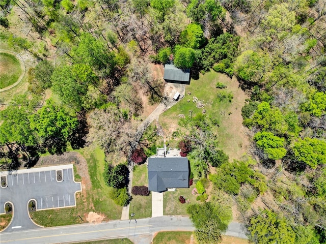 drone / aerial view