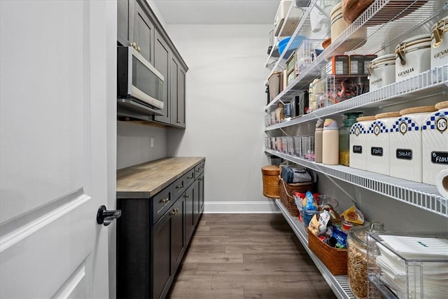 view of pantry