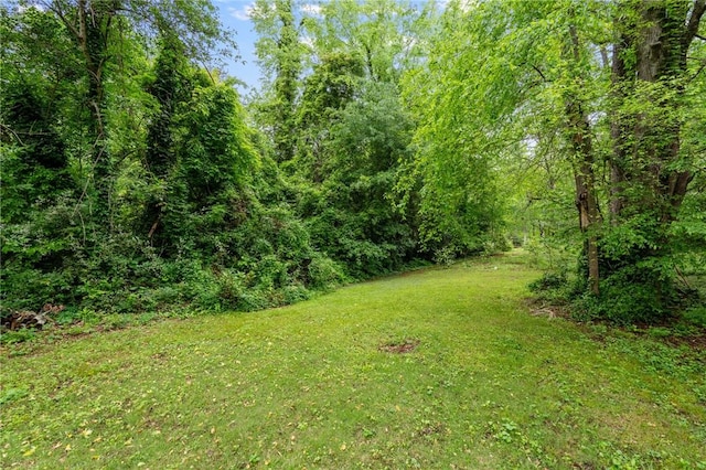 view of yard featuring a view of trees