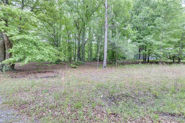 view of yard with a view of trees