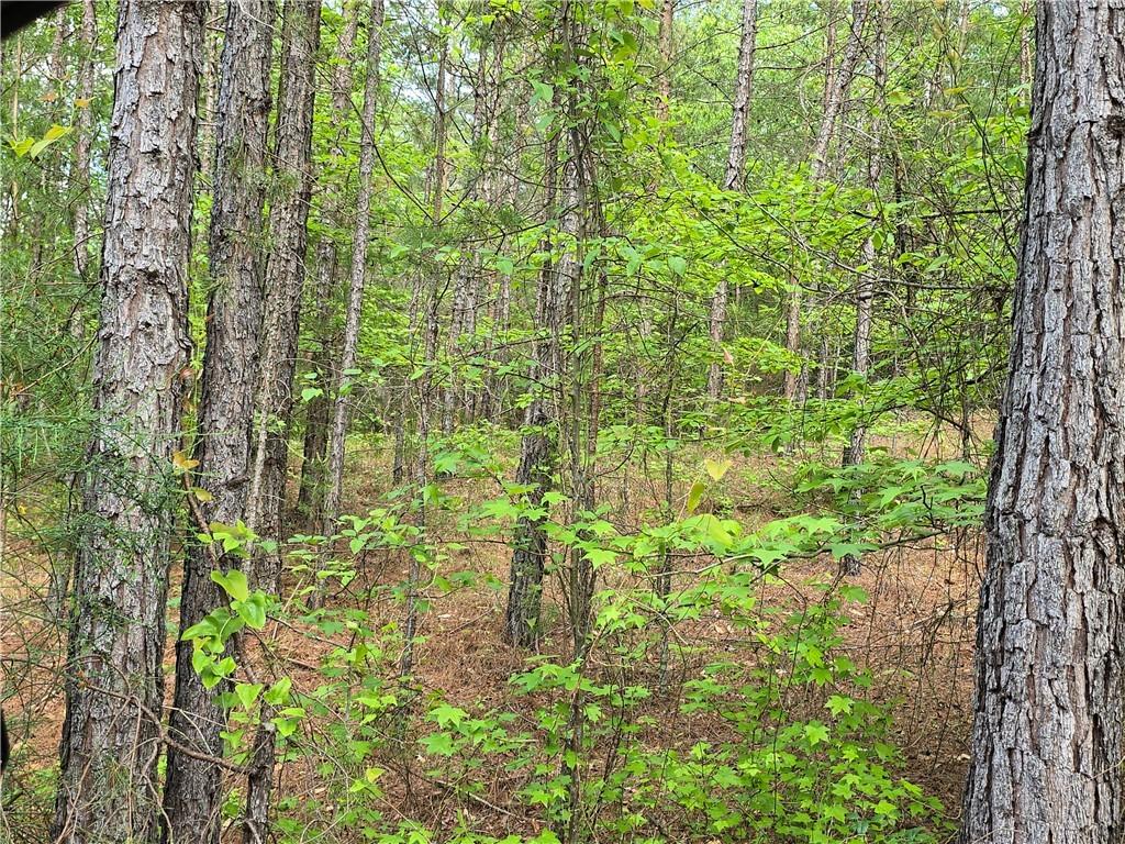 113 Rolling Hill Dr, Anderson, SC 29621 - photo 1