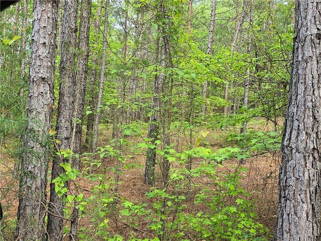 113 Rolling Hill Dr, Anderson, SC 29621 - photo 1