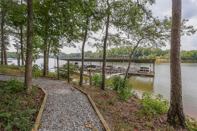 dock area with a water view