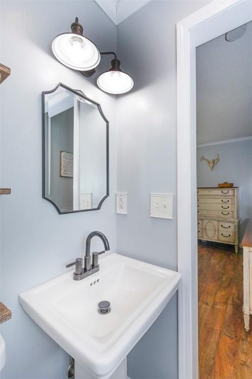 bathroom featuring wood finished floors and a sink