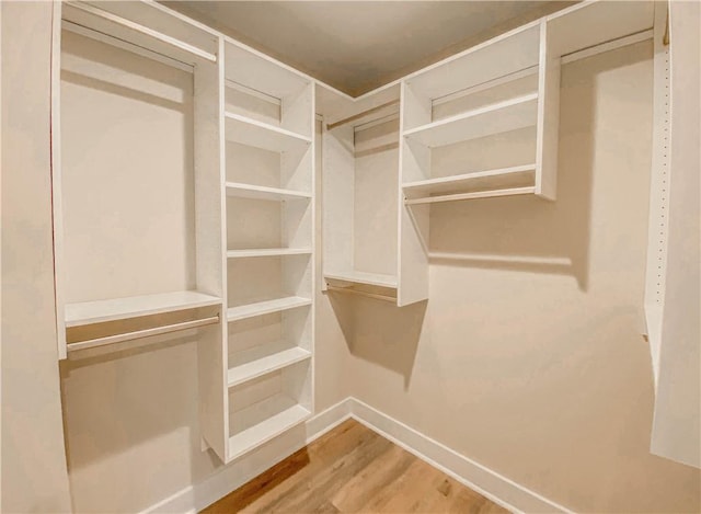 spacious closet with wood finished floors