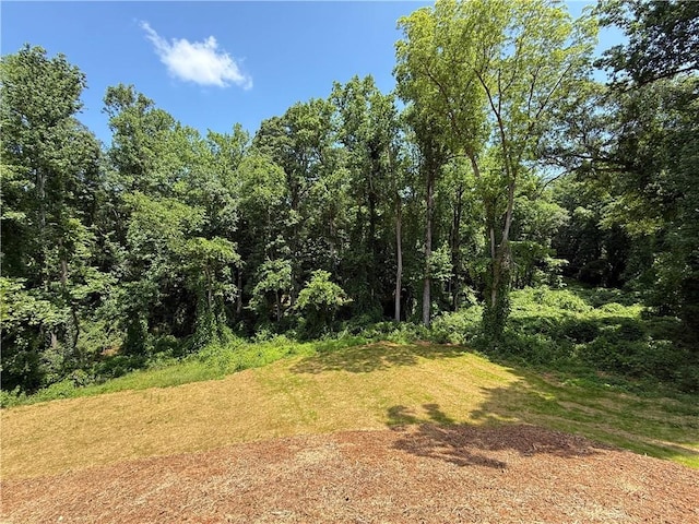 320 Code Cir, Seneca, SC 29678 - view of wooded area