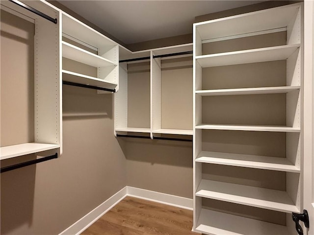 320 Code Cir, Seneca, SC 29678 - walk in closet with wood finished floors