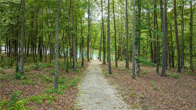 view of street with a view of trees