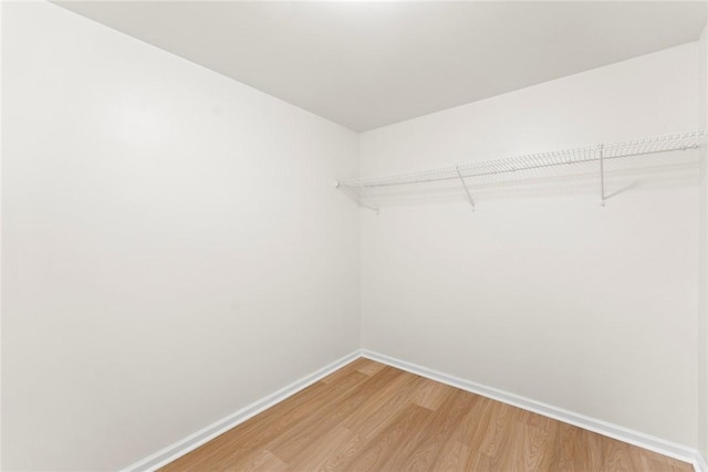 walk in closet featuring light wood-style flooring